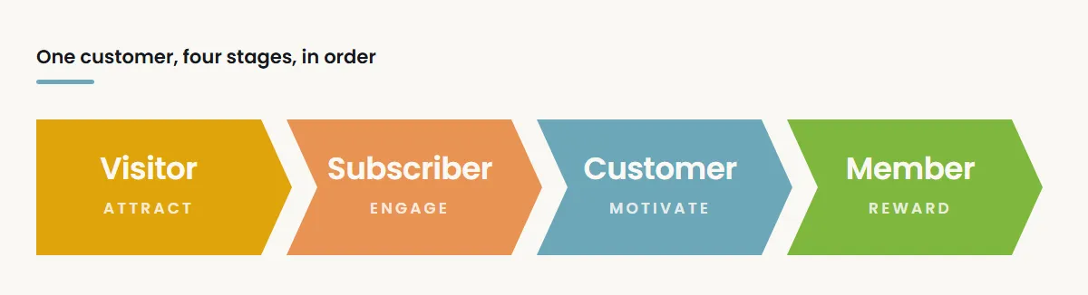 The four-stage lifecycle: Visitor, Subscriber, Customer, Member.